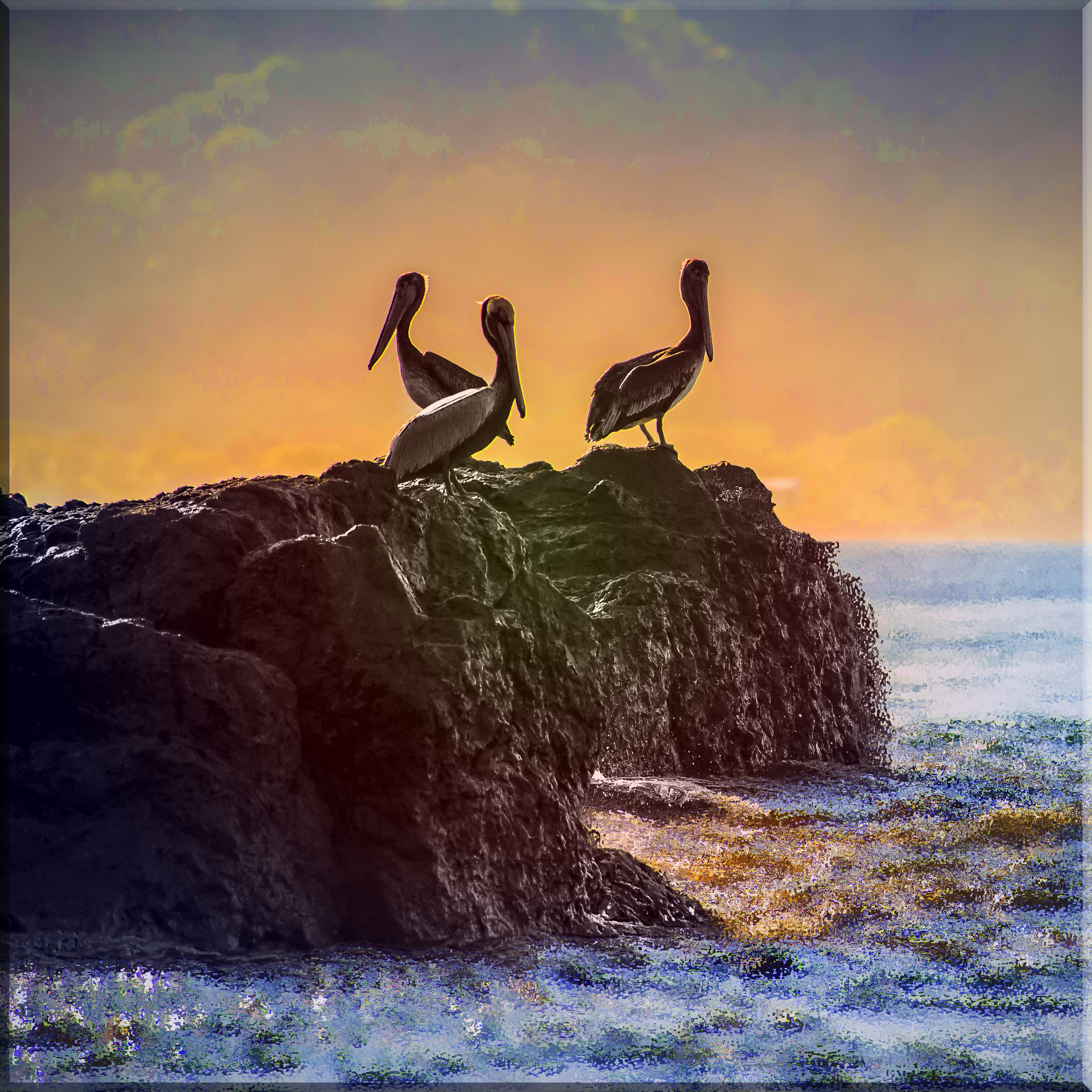 Cover image for Rise of the Islands